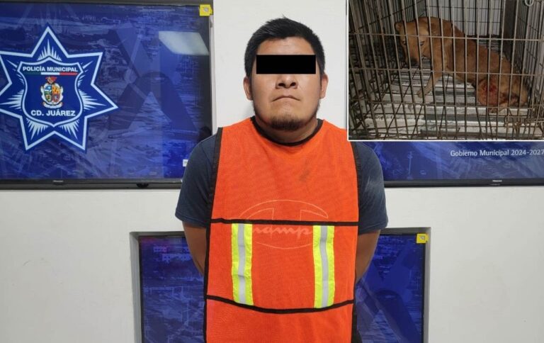 Le corta los genitales a Perro con arma blanca en Ciudad Juárez